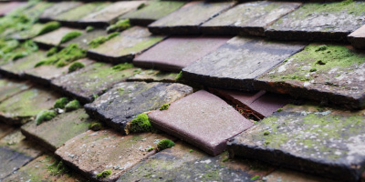 Horwich roof repair costs